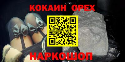 Альфа ПВП Можга