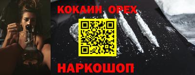 Альфа ПВП Можга