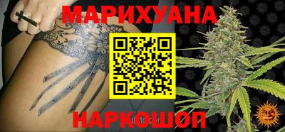 Альфа ПВП Можга