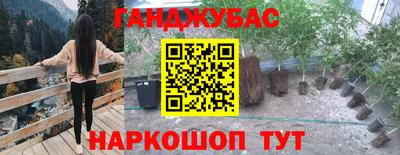 гидропоника Можайск