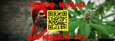гидропоника Можайск