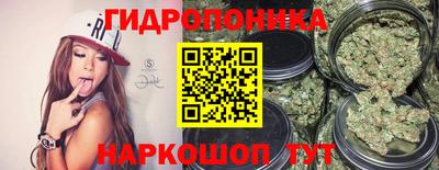 Альфа ПВП Можга