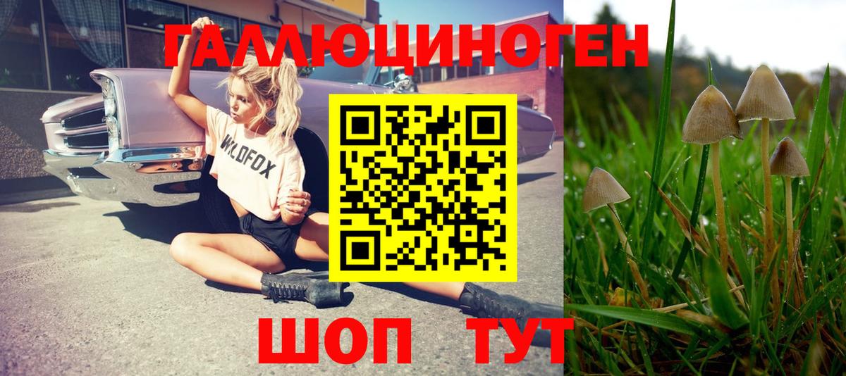 Северск  Псилоцибиновые грибы GOLDEN TEACHER  Вход с VPN 